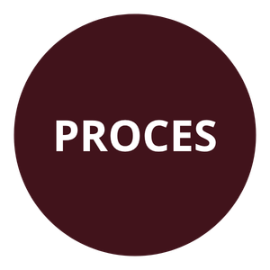 PROCES